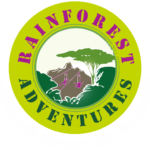 rainforest-logo-52096